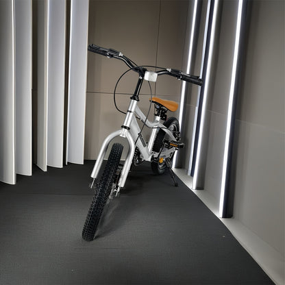 Youngsters's Bicycle