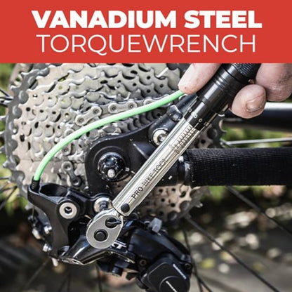 1 4 Inch Drive Click Bicycle Torque Wrench Set 2 to 20 Nm Maintenance Kit for Road and Mountain Bikes Includes Allen and Torx Screws Extension Bar and Storage Box ISO Certified