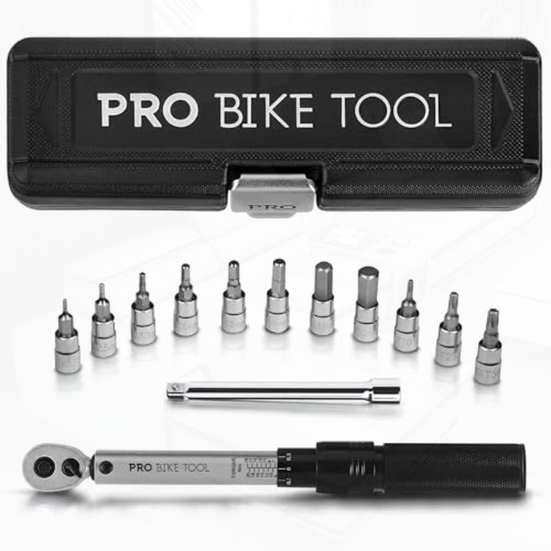 1 4 Inch Drive Click Bicycle Torque Wrench Set 2 to 20 Nm Maintenance Kit for Road and Mountain Bikes Includes Allen and Torx Screws Extension Bar and Storage Box ISO Certified